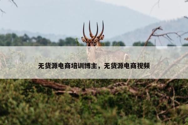 无货源电商培训博主，无货源电商视频