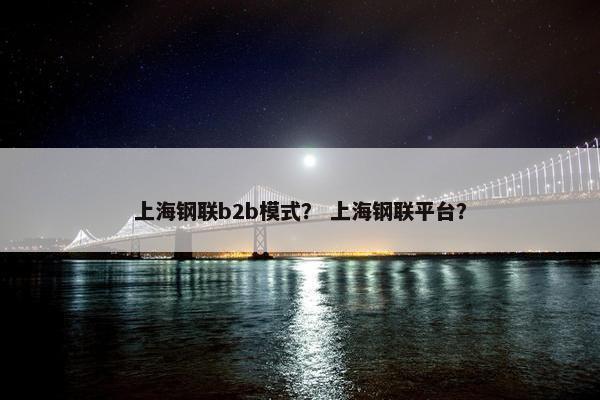 上海钢联b2b模式？ 上海钢联平台？