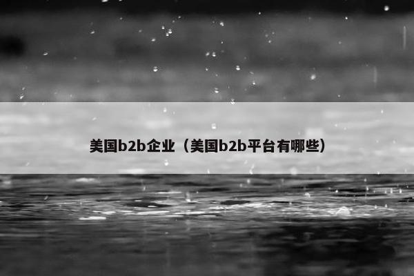 美国b2b企业（美国b2b平台有哪些）