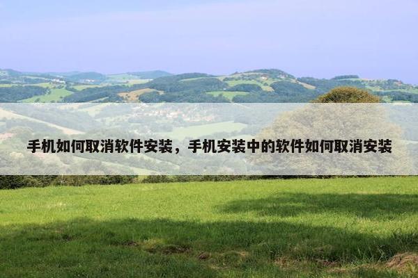 手机如何取消软件安装，手机安装中的软件如何取消安装