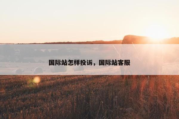 国际站怎样投诉，国际站客服