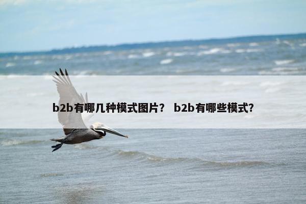 b2b有哪几种模式图片？ b2b有哪些模式？