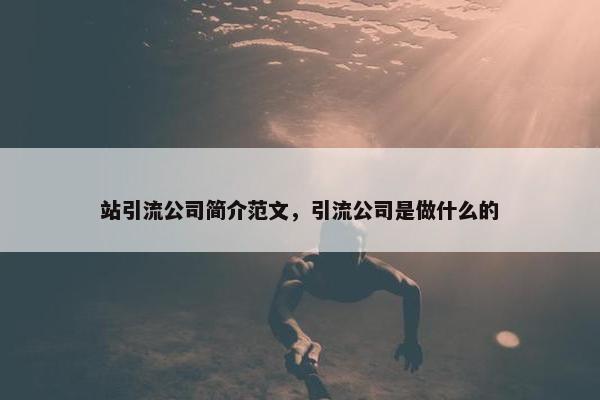 站引流公司简介范文，引流公司是做什么的