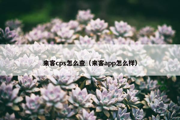 来客cps怎么查（来客app怎么样）