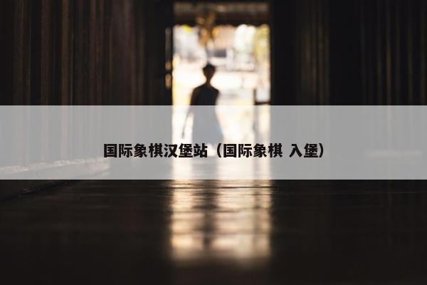 国际象棋汉堡站（国际象棋 入堡）