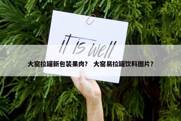 大窑拉罐新包装果肉？ 大窑易拉罐饮料图片？