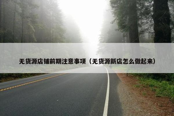 无货源店铺前期注意事项（无货源新店怎么做起来）