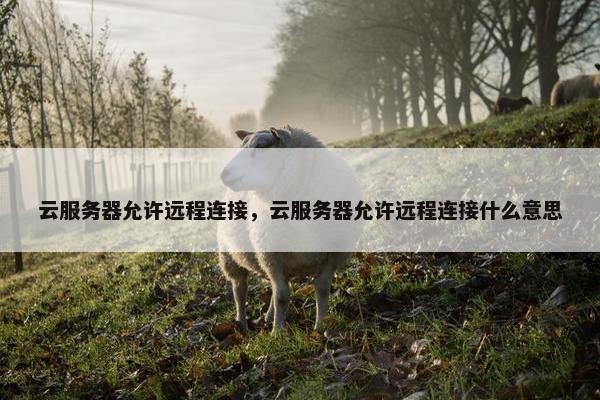 云服务器允许远程连接，云服务器允许远程连接什么意思