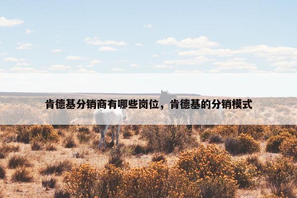 肯德基分销商有哪些岗位，肯德基的分销模式