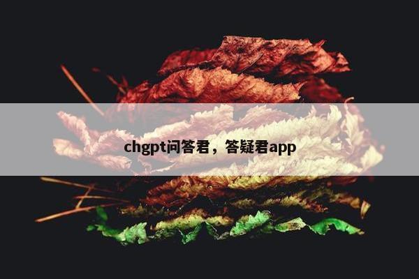 chgpt问答君，答疑君app