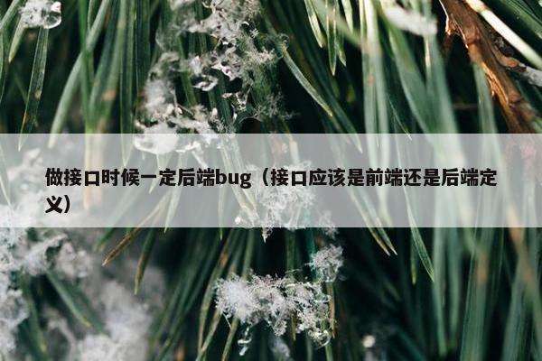 做接口时候一定后端bug（接口应该是前端还是后端定义）