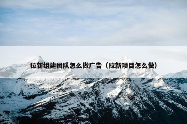 拉新组建团队怎么做广告（拉新项目怎么做）