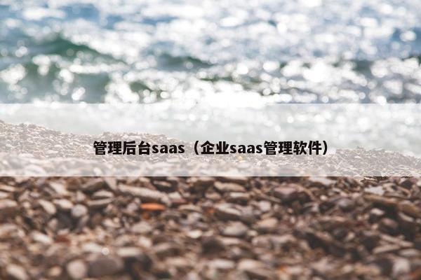 管理后台saas（企业saas管理软件）
