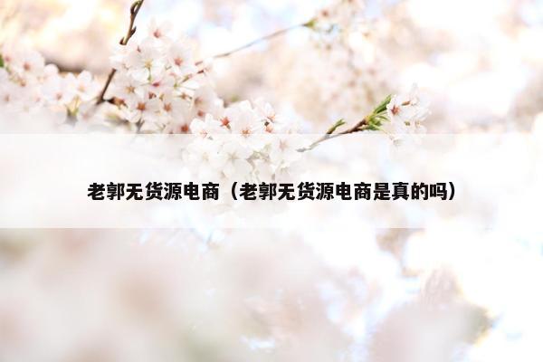 老郭无货源电商（老郭无货源电商是真的吗）