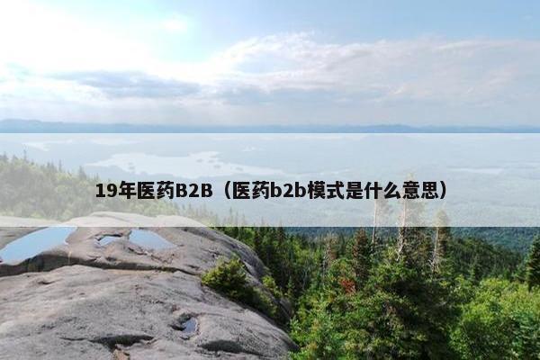 19年医药B2B（医药b2b模式是什么意思）
