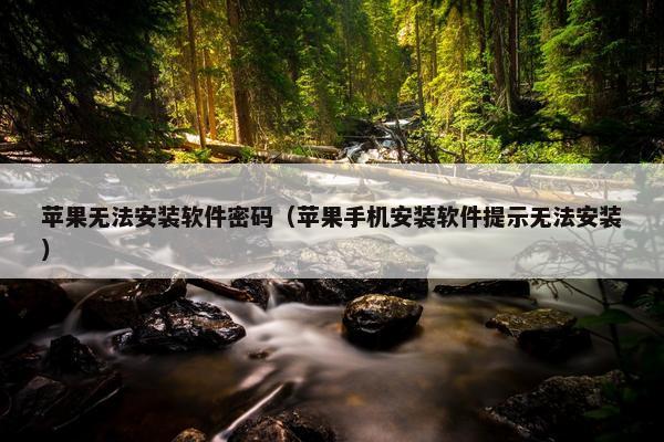 苹果无法安装软件密码（苹果手机安装软件提示无法安装）