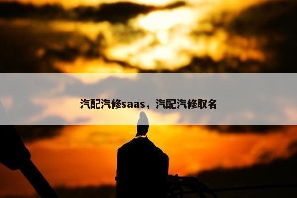 汽配汽修saas，汽配汽修取名