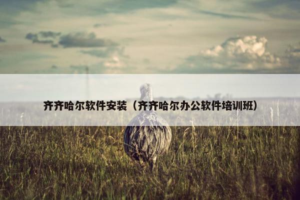 齐齐哈尔软件安装（齐齐哈尔办公软件培训班）