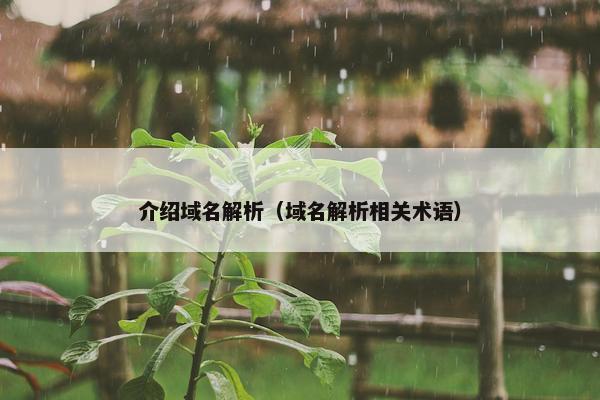 介绍域名解析（域名解析相关术语）