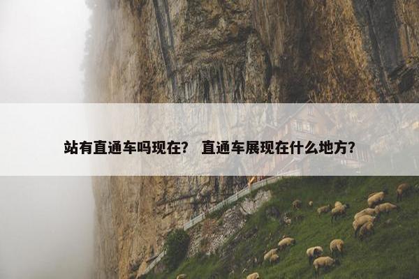 站有直通车吗现在？ 直通车展现在什么地方？