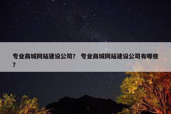 专业商城网站建设公司？ 专业商城网站建设公司有哪些？
