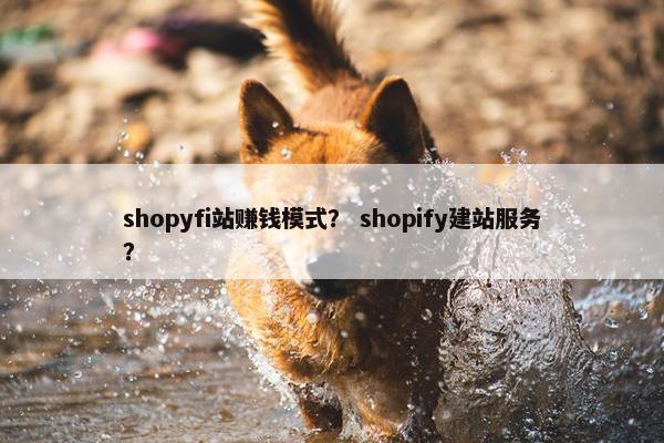 shopyfi站赚钱模式？ shopify建站服务？