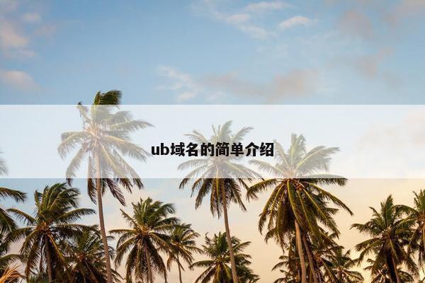 ub域名的简单介绍