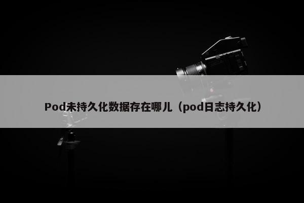 Pod未持久化数据存在哪儿（pod日志持久化）