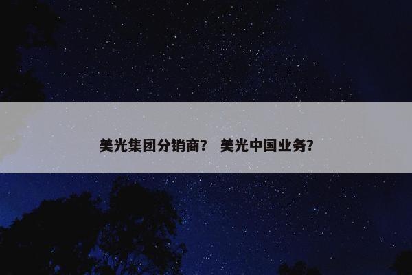 美光集团分销商？ 美光中国业务？