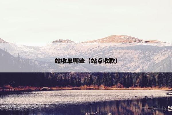 站收单哪些（站点收款）