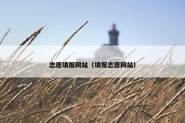 志愿填报网站（填报志愿网站）
