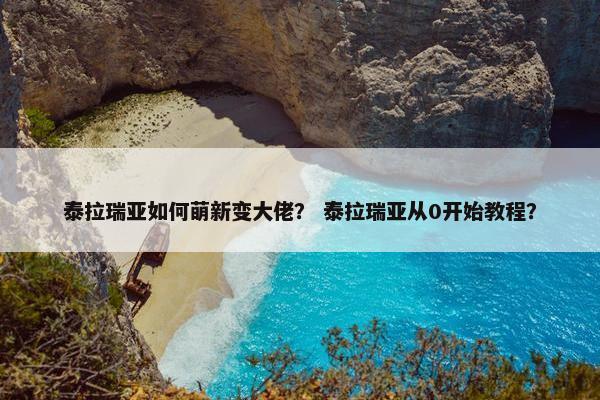 泰拉瑞亚如何萌新变大佬？ 泰拉瑞亚从0开始教程？