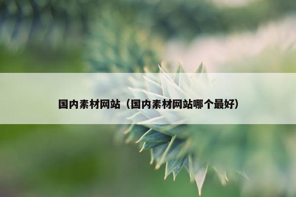 国内素材网站（国内素材网站哪个最好）