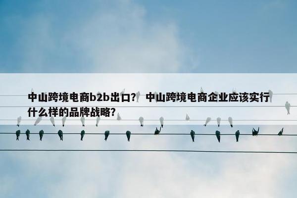 中山跨境电商b2b出口？ 中山跨境电商企业应该实行什么样的品牌战略？