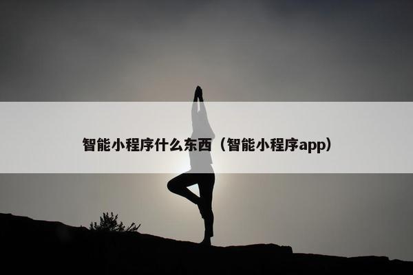 智能小程序什么东西（智能小程序app）