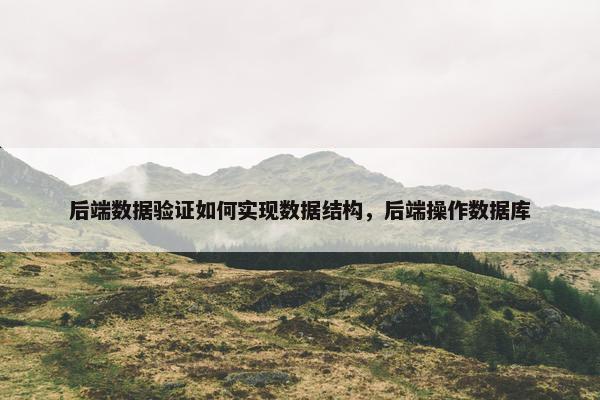 后端数据验证如何实现数据结构，后端操作数据库