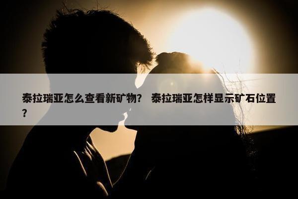 泰拉瑞亚怎么查看新矿物？ 泰拉瑞亚怎样显示矿石位置？