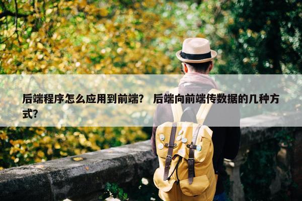 后端程序怎么应用到前端？ 后端向前端传数据的几种方式？
