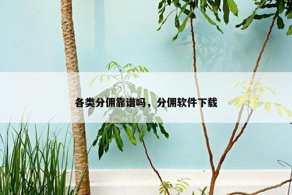 各类分佣靠谱吗，分佣软件下载