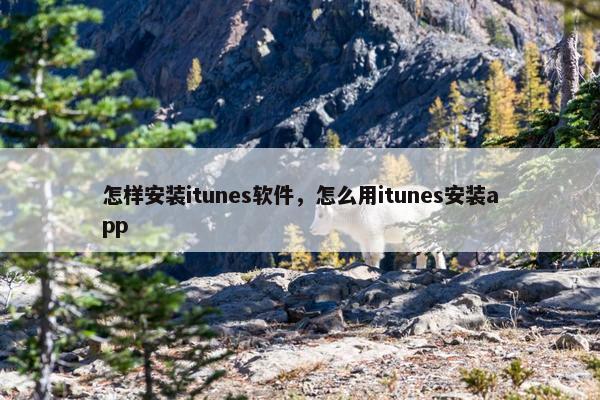怎样安装itunes软件，怎么用itunes安装app