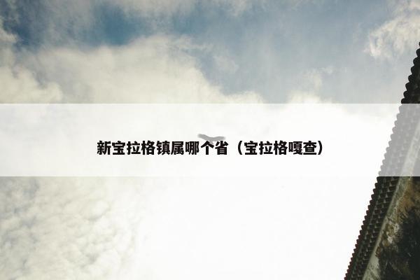 新宝拉格镇属哪个省（宝拉格嘎查）