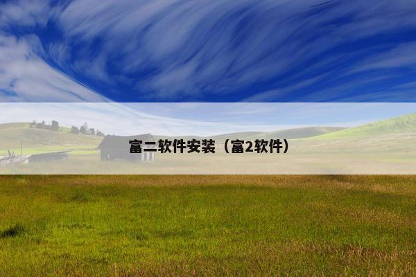 富二软件安装（富2软件）
