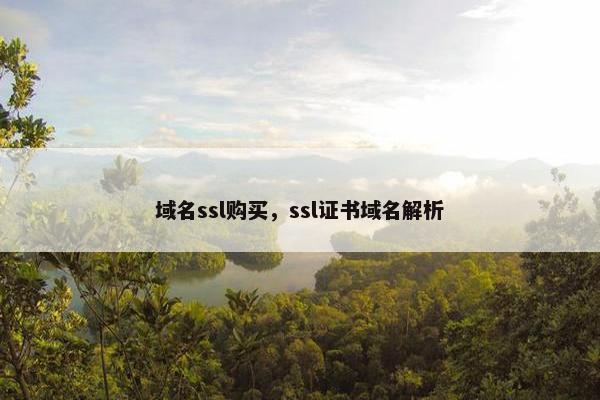 域名ssl购买，ssl证书域名解析