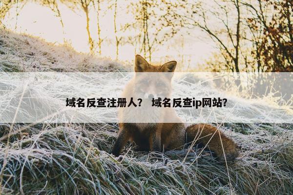 域名反查注册人？ 域名反查ip网站？
