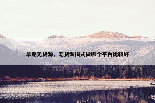 早期无货源，无货源模式做哪个平台比较好