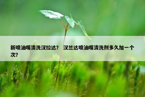 新喷油嘴清洗汉拉达？ 汉兰达喷油嘴清洗剂多久加一个次？
