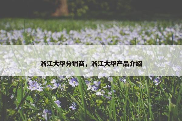 浙江大华分销商，浙江大华产品介绍