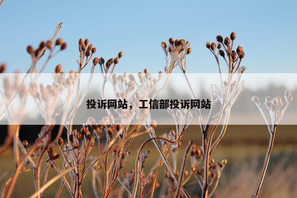 投诉网站，工信部投诉网站