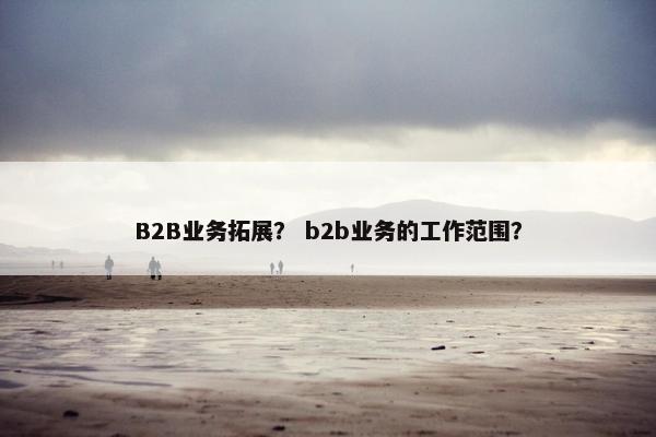 B2B业务拓展？ b2b业务的工作范围？