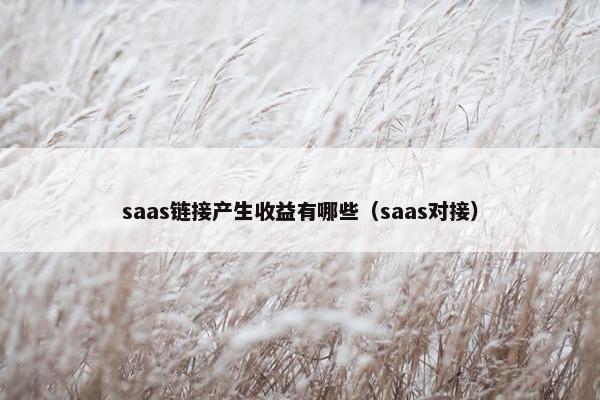 saas链接产生收益有哪些（saas对接）